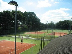 court view